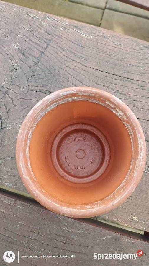 Donica włoska Ciechanów