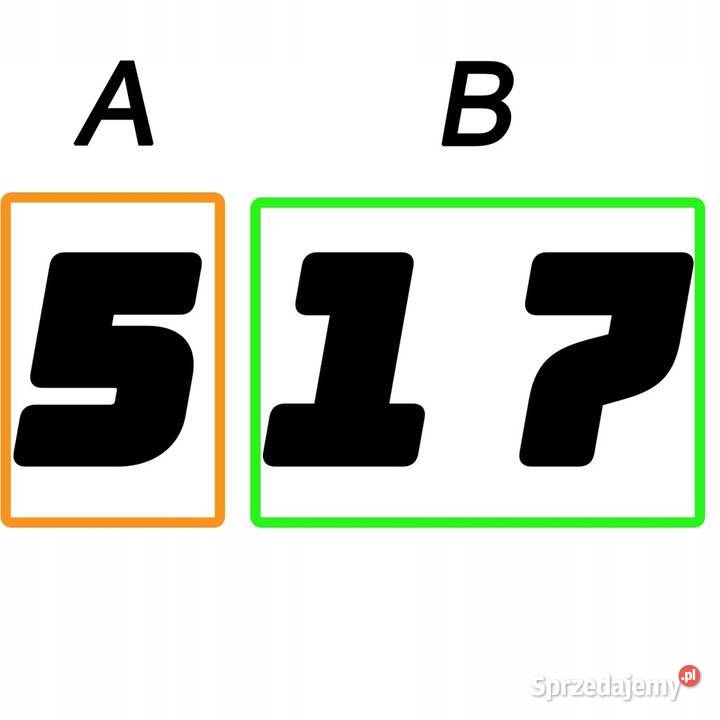 Lanca do Pistoletu Malarskiego 100 50 290 bar Pistolety i agregaty małopolskie Ludźmierz