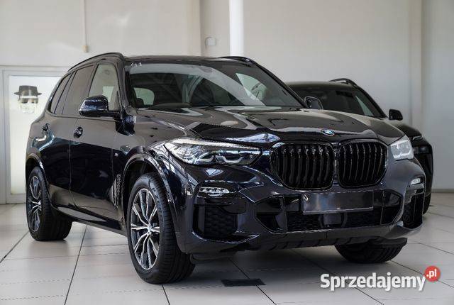 BMW X5 xDrive M Pakiet 25d napęd 4x4 Pionki
