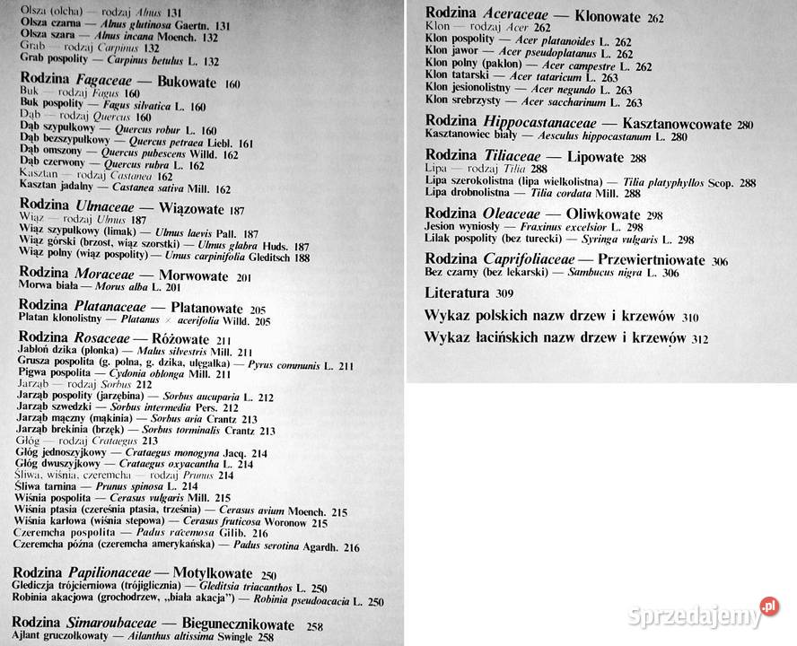 Nasze drzewa Władysław Strojny Książki i Podręczniki sprzedam