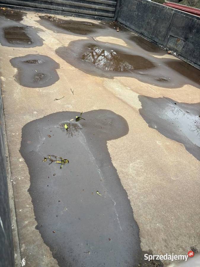 Przyczepa d46 sztywna Głogówek