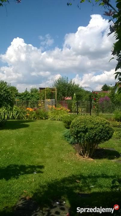 ogród działkowy ROD Szczecin Wyspa Pucka