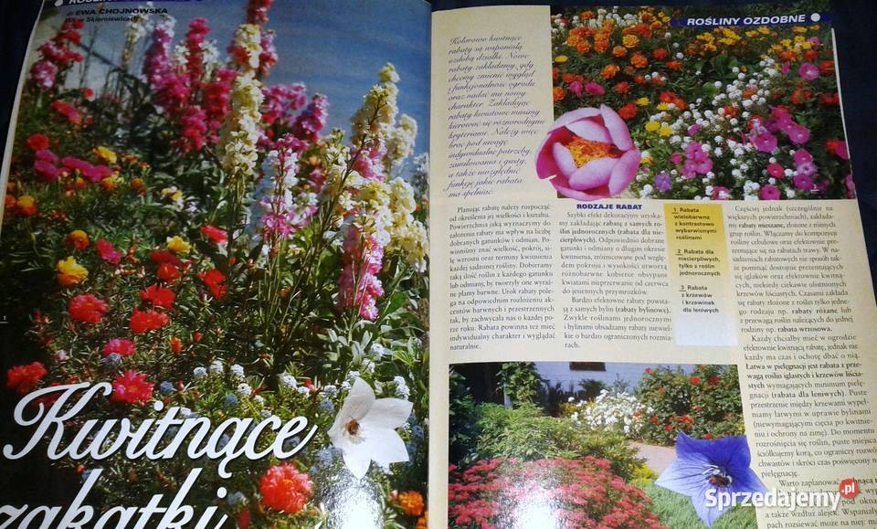 Twój ogród na to zasluguje Działkowiec 2004 12