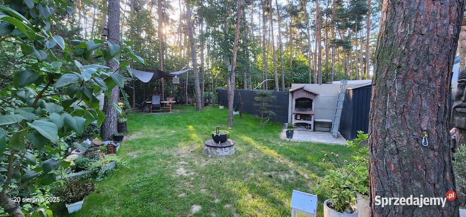 Domek Letniskowy Jeziorem Nyskim 1600m2 Sprzedaż Skorochów