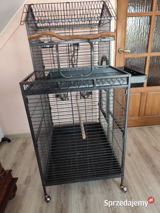 Klatka ptaków Świdnica