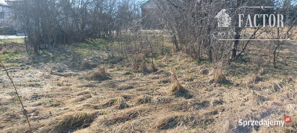 Działka budowlana 8 a w Turzy gm Rzepiennik małopolskie Turza