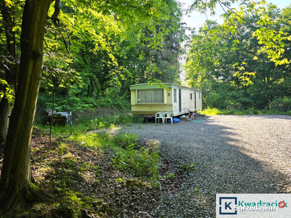 Działka Płowce 8242m2 gaz podkarpackie sprzedam