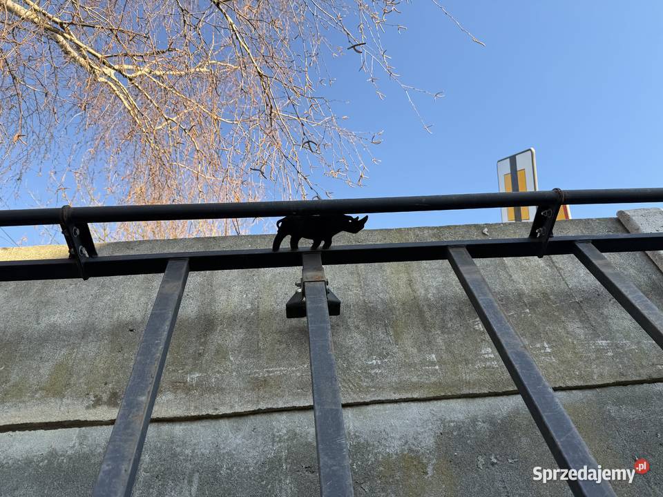 Bagażnik dachowy rhino ford transit sprinter Przeworsk