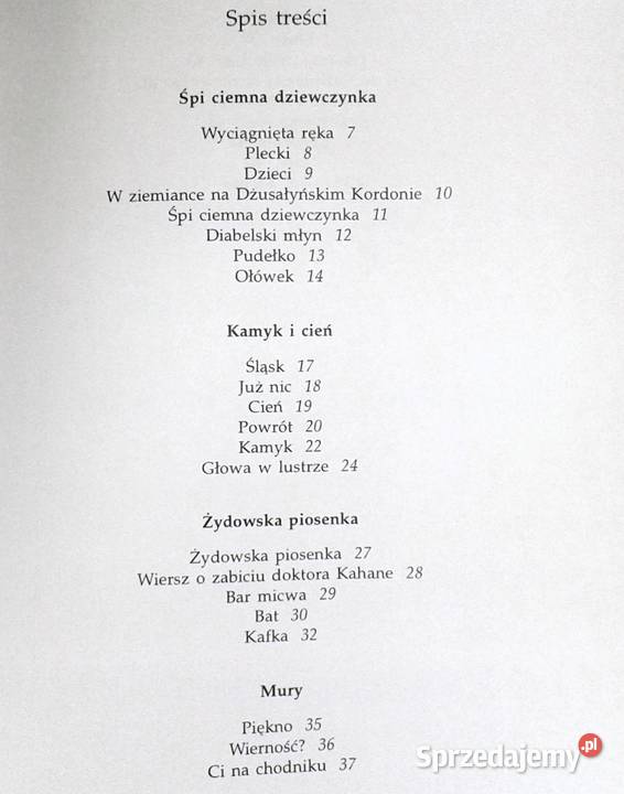 Kamyk i cień Julian Kornhauser Chełm