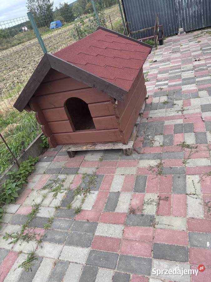 Buda psa świętokrzyskie Święta Katarzyna sprzedam