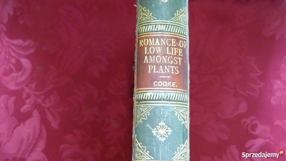 Romance of low life sprzedam