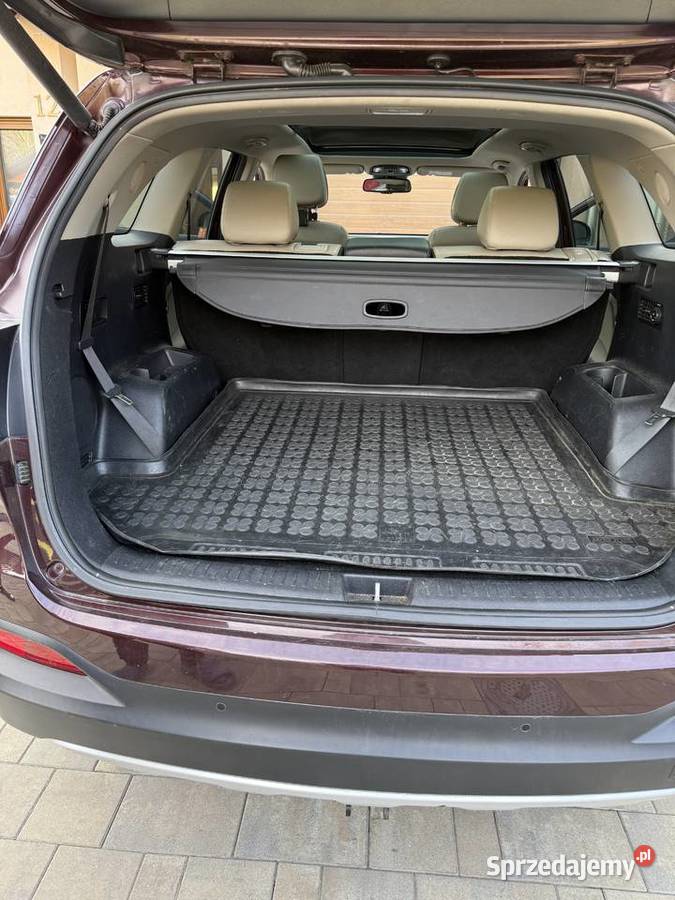 Kia Sorento 20 CRDI Business Line nieuszkodzony