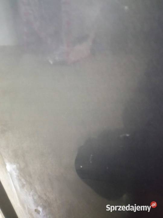 DRZWI PRAWE TYŁ KOMBI T27 1G3 Toyota Avensis III