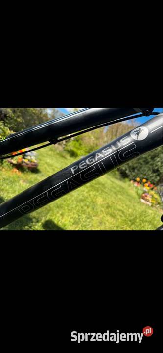 Rower elektryczny Pegasus Premio 8 system BOSCH Zgorzelec