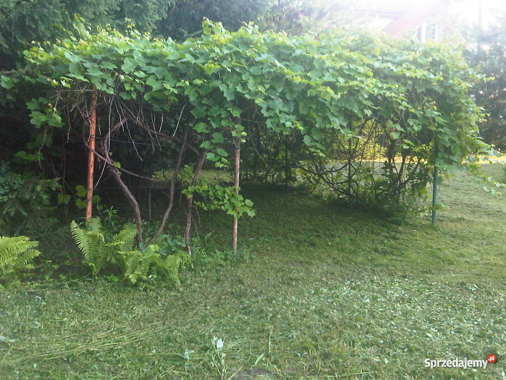 DOM BIAŁOŁĘKA Warszawa