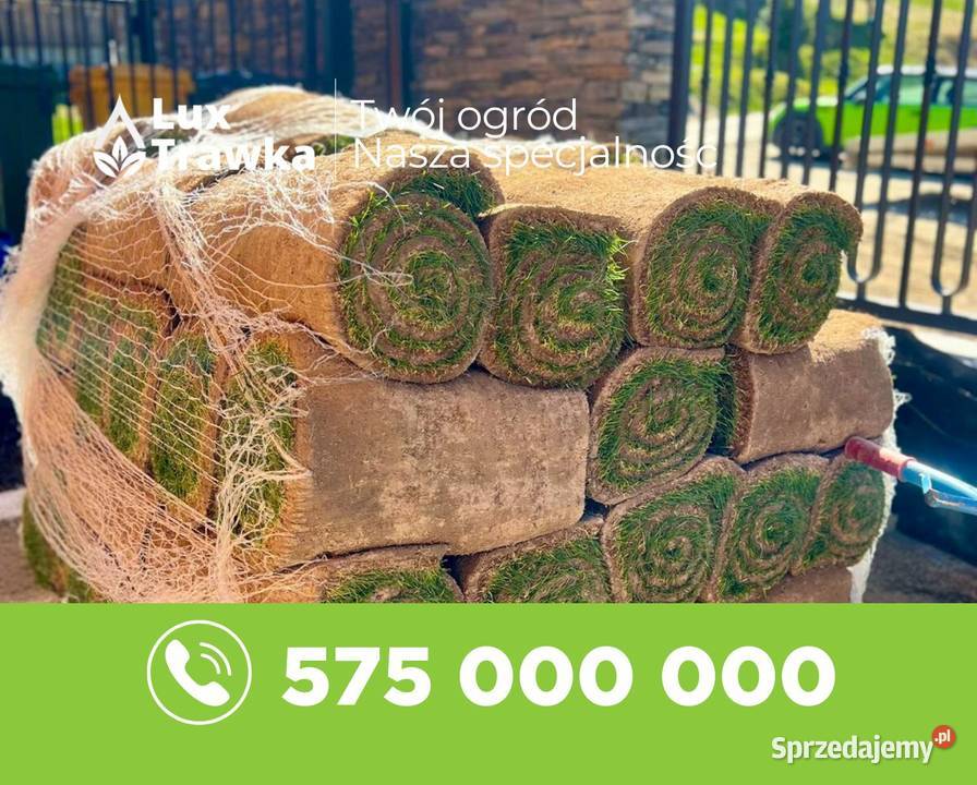 Trawa z rolki Dostawa na terenie całej Limanowa