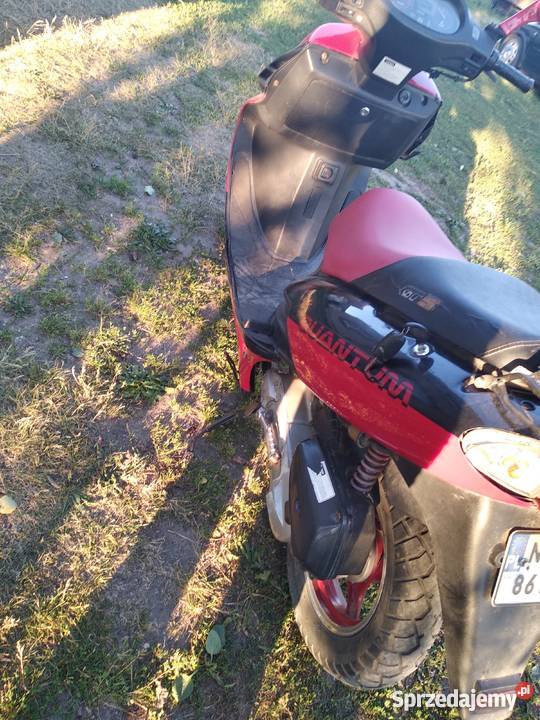 Zipp wangye 49cm3 Klewno