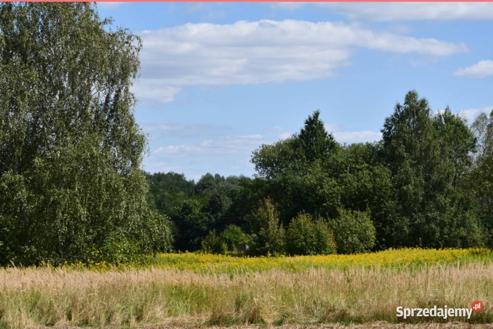 Działka rolna 43a Strażów 170m
