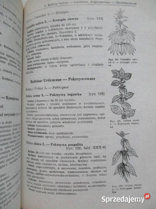 Rośliny lecznicze i przemysłowe klucz do