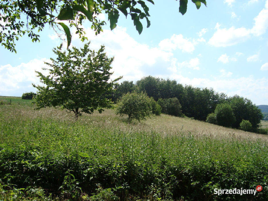 sprzedaży gruntu Dziećmorowice