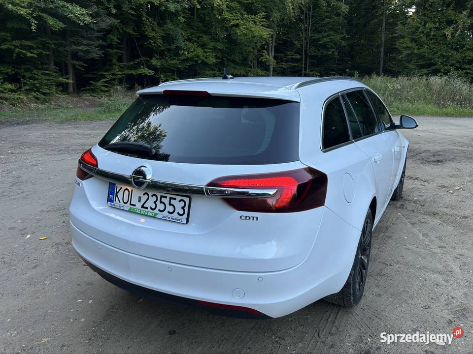 Opel Insignia AUTOMAT Navi podkarpackie Strzyżów
