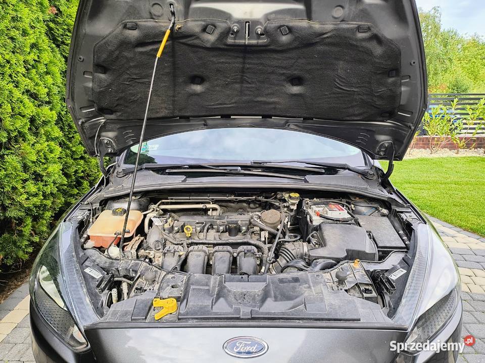 Ford Focus 2016r 20 Benzyna Automat czujnik zmierzchu Sulechów