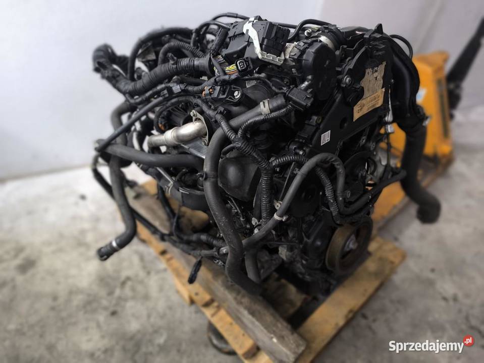 SILNIK KOMPLETNY FORD FOCUS MK3 LIFT 15 TDCI 120 sprzedam