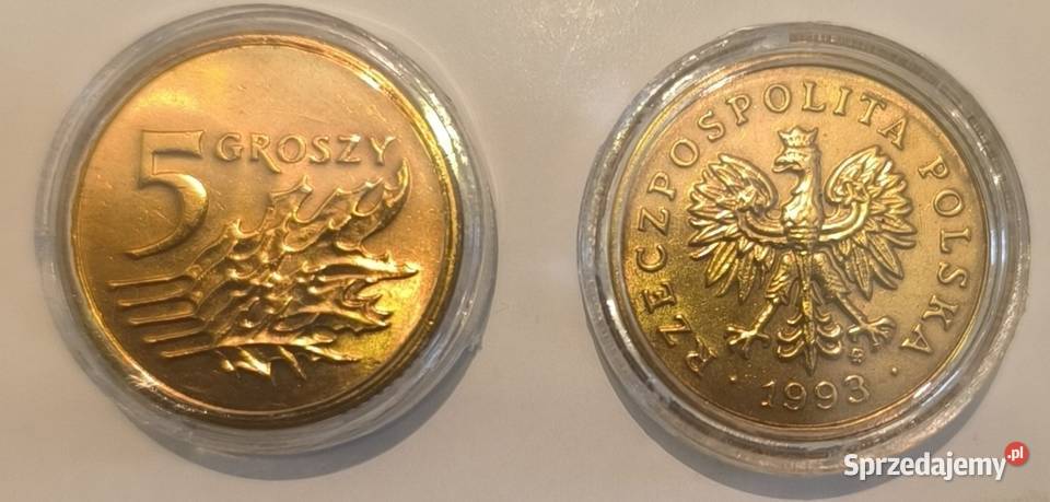 5 groszy 1993r W kapslu ochronnym Numizmatyka