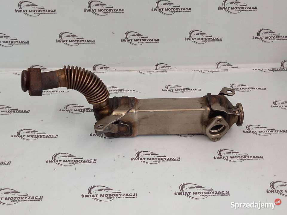 BMW X5 30 D BITURBO M57D30 218 06r chłodniczka Recyrkulacja spalin EGR sprzedam