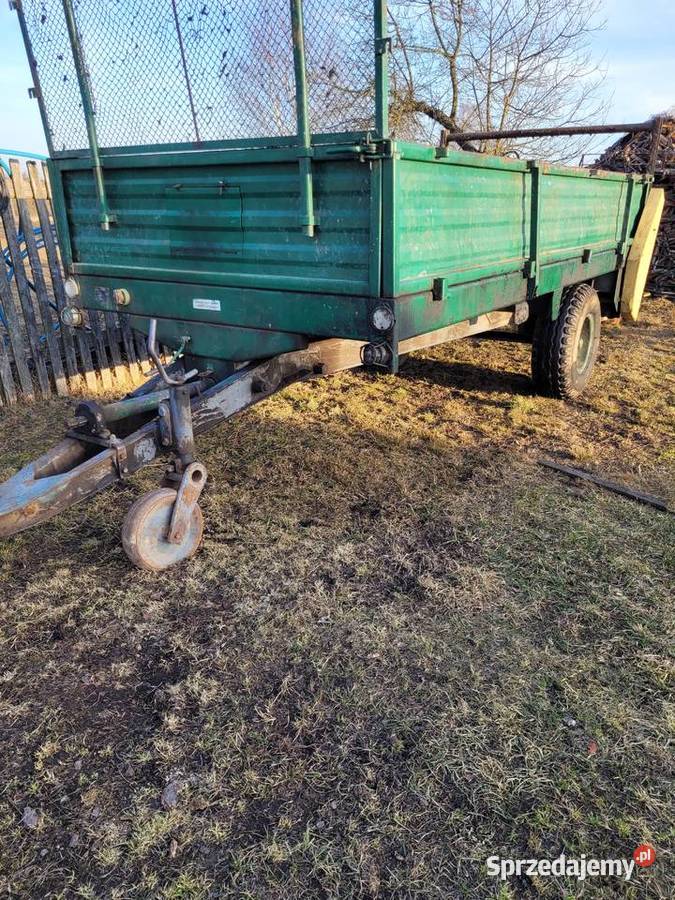 ROZRZUTNIK CZARNA BIAŁOSTOCKA ORYGINAŁ Ostrówek