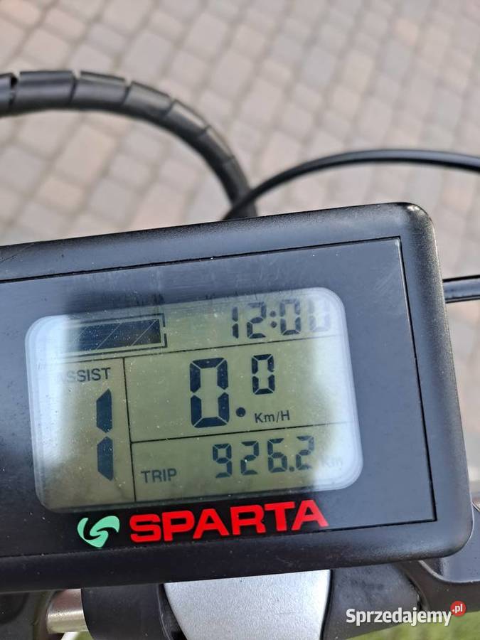 Damka elektryczna sparta Namysłów