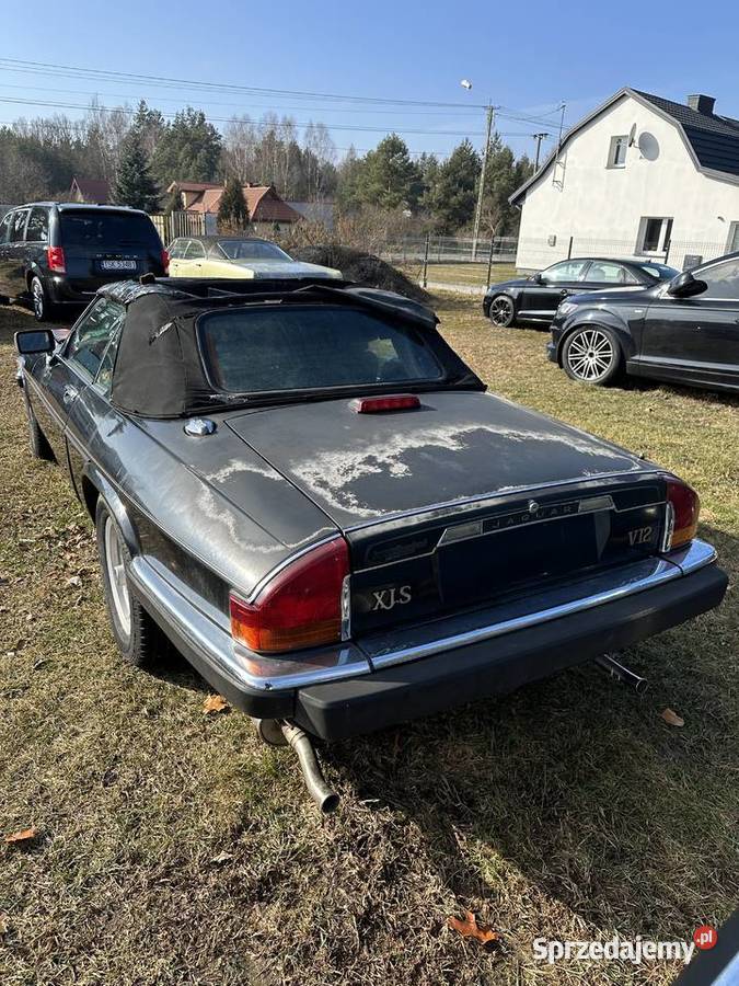 JAGUAR XJ12 53i świętokrzyskie Bliżyn