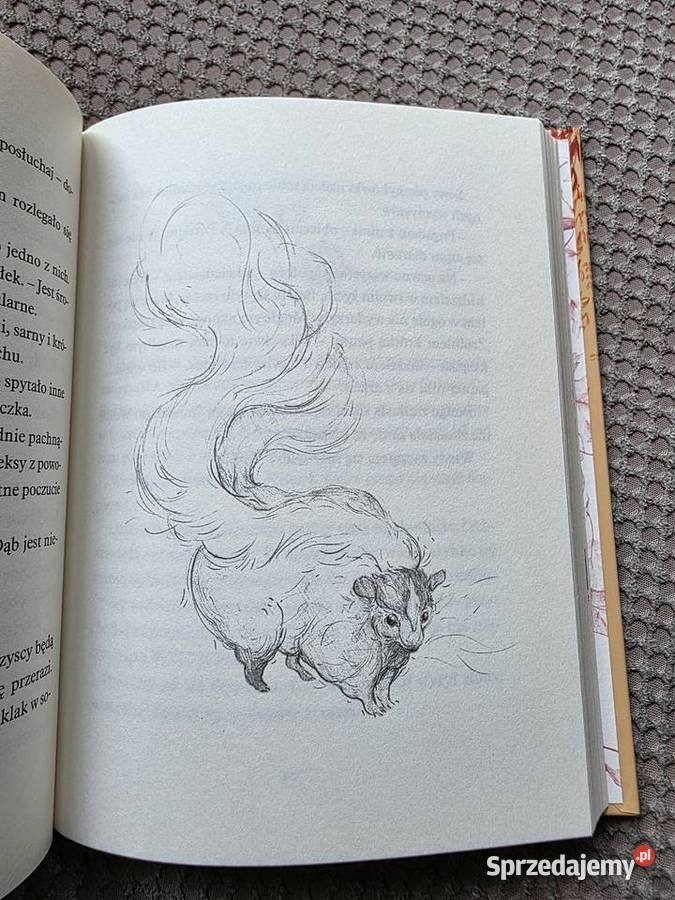 nowa Drzewo życzeń Katherine Applegate Książki dla dzieci Kraków