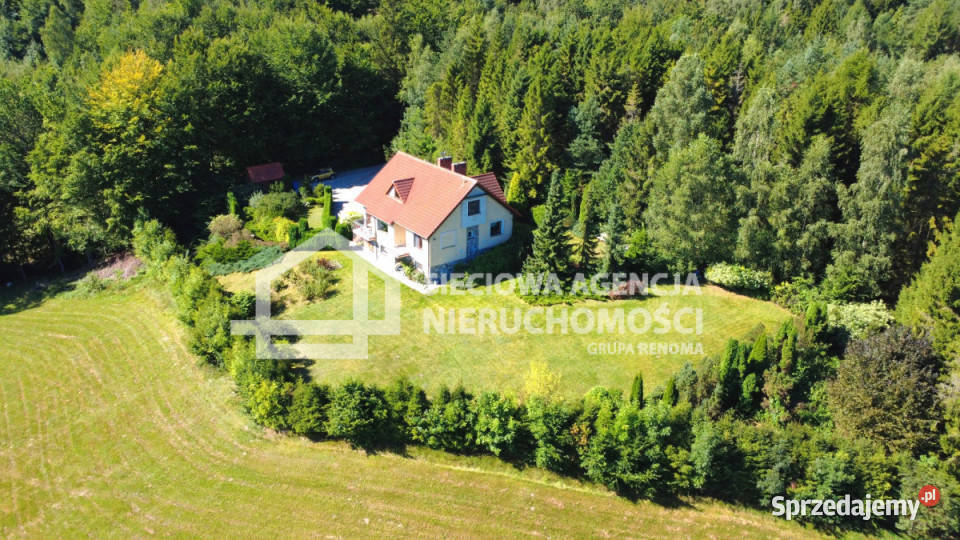 Dom wolnostojący Chmielno 225m2