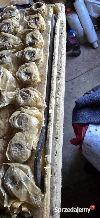 Oryginalny Profesjonalny Komplet Tulejek Łazy