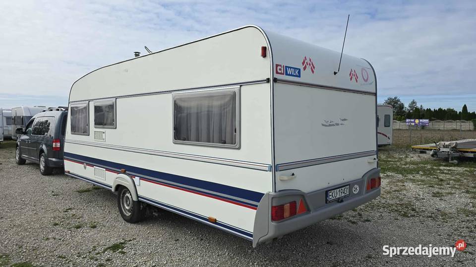 Wilk Luxusliner 530 150kg Bedlno