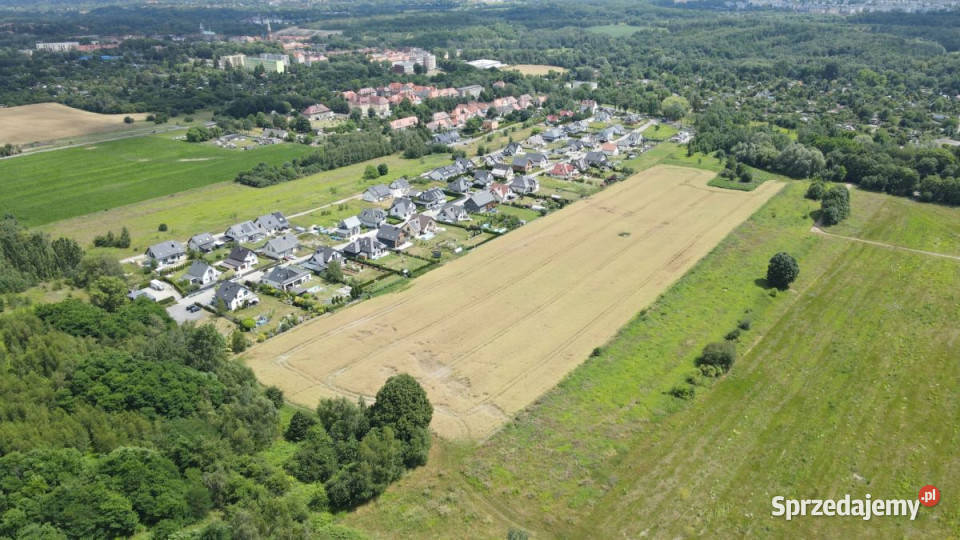 Działkę sprzedam Zabrze Jana Kasprowicza 504m2 śląskie