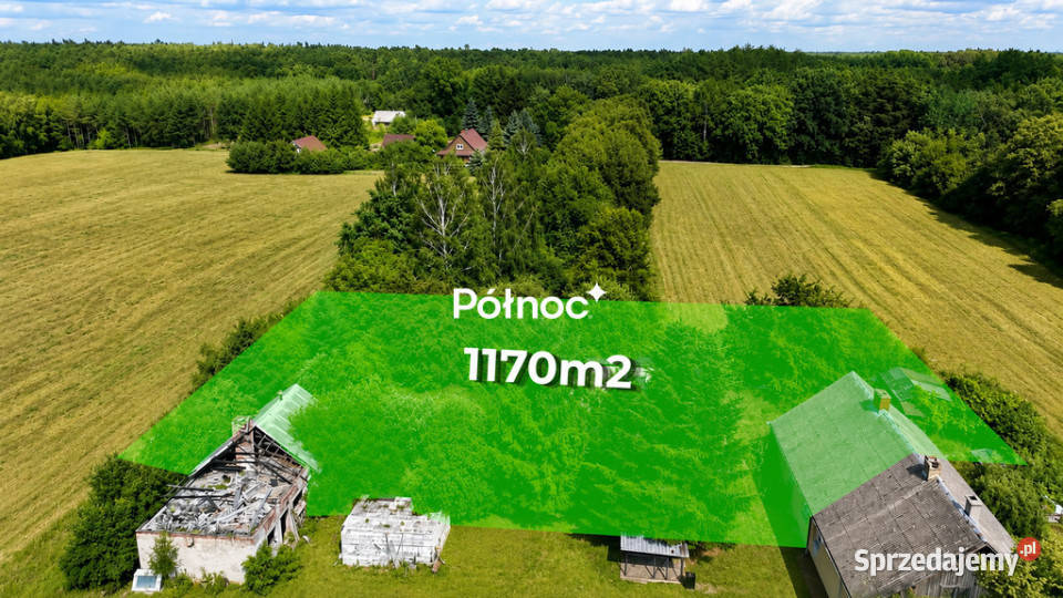 Siedlisko w Stańkowie wśród lasu5min Chełma Stańków
