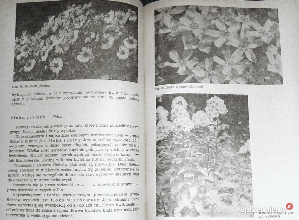 Kwiaciarstwo ZSO A Bartosiewicz H Chmiel Rok wydania 1980 Pozostałe