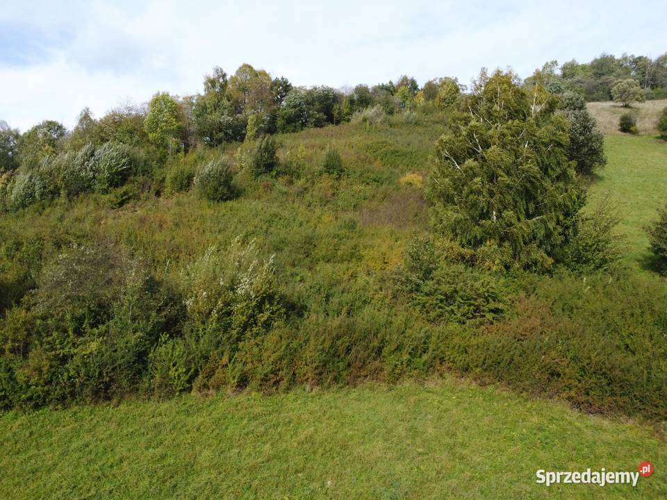 Działka budowlana w Bieszczadach w miejscowości 7231m2