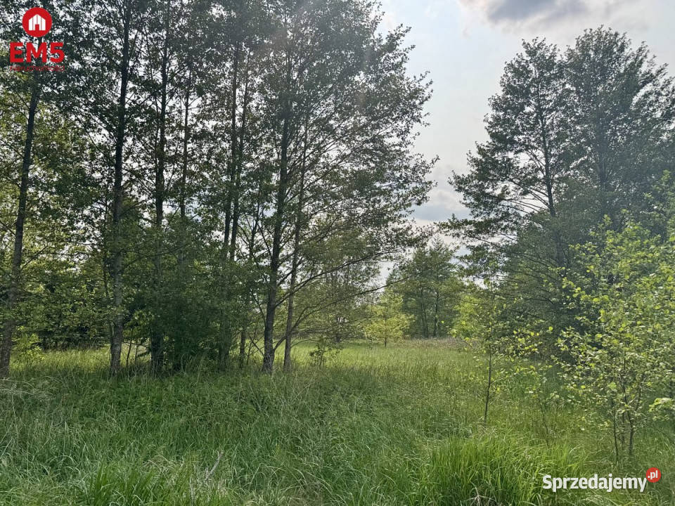 Grunt 2900m2 Kosmaty Borek