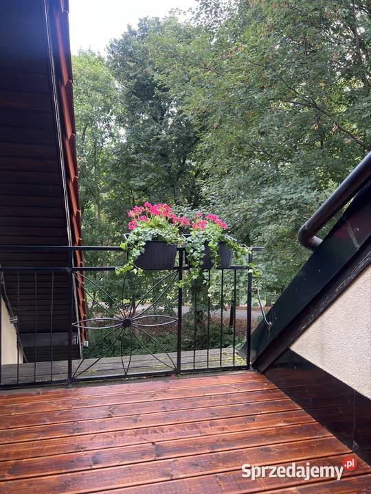 Elbląg Moniuszki z widokiem na park Dolinka
