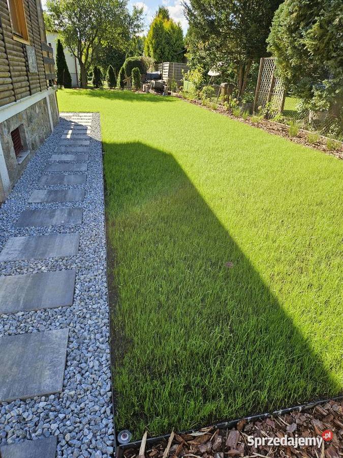 Zakładanie pielęgnacja ogrodu