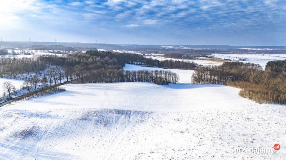 Ziemia Mierzyno 35400m2 Sprzedaż