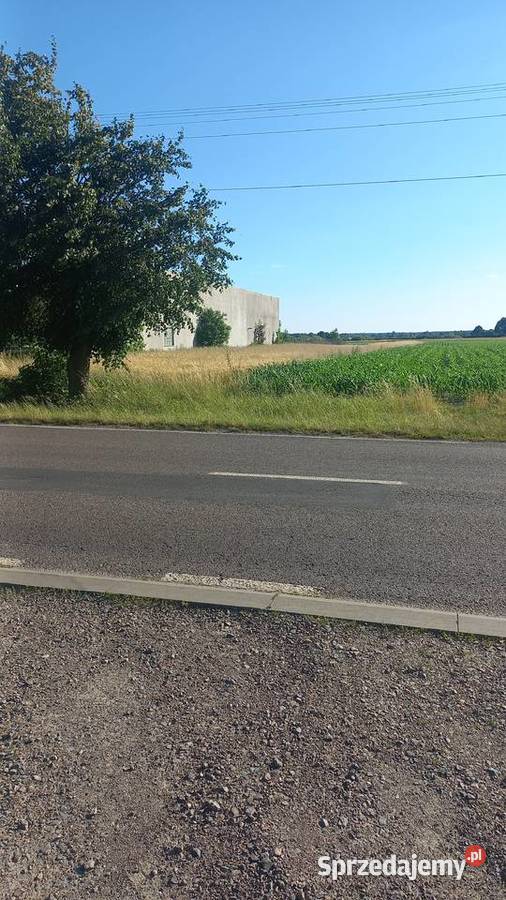 Sprzedam działkę rolnozagrodową Parczew