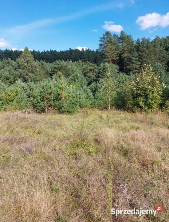 Działka 8400m2 gmina Dobrzyniewo Duże podlaskie