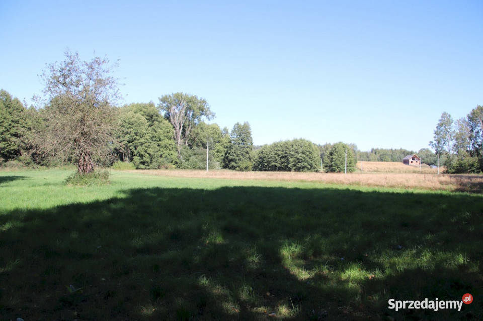 Działka budowlana pod lasem w malowniczej 34zł/m2 Pszczonów sprzedam