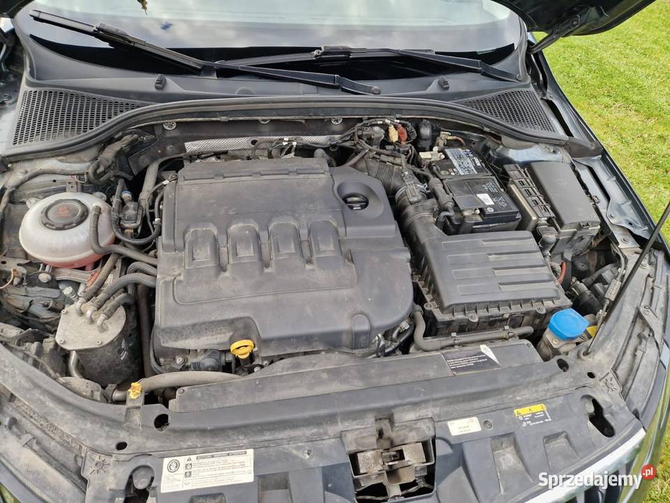 Skoda Octavia 16 Tdi 2019 kombi Salon Polska 4/5 świętokrzyskie Skarżysko Kościelne