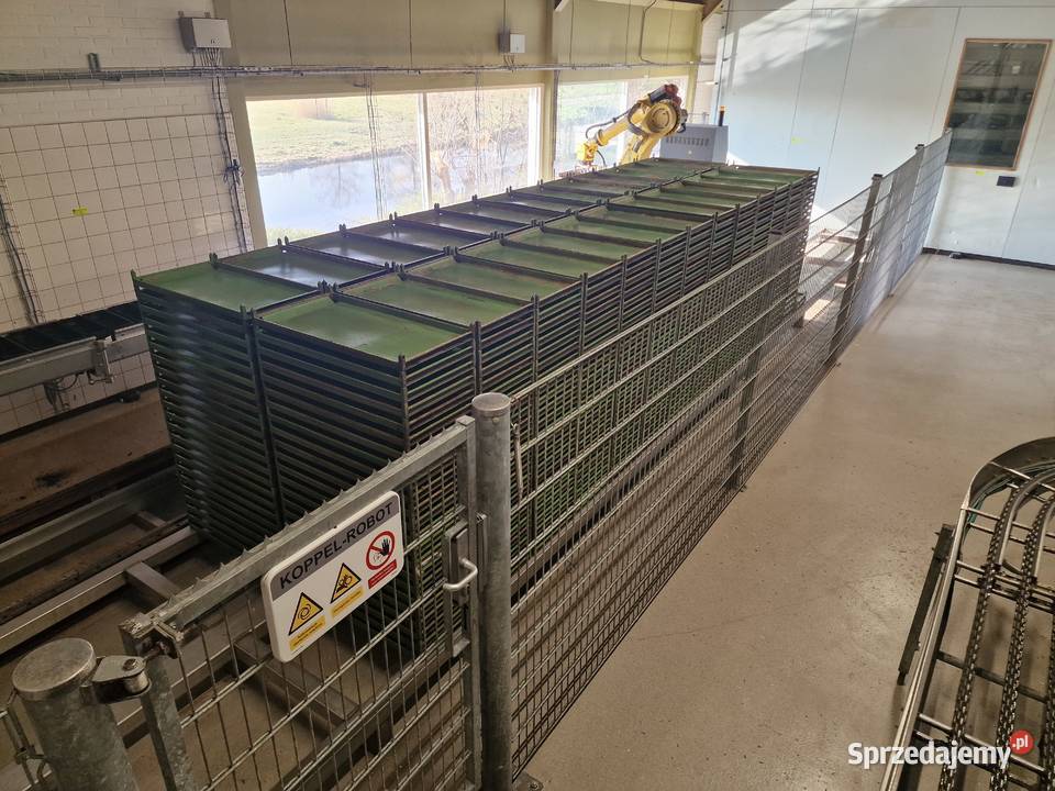 Automatyczna Linia do bułek robot WP Haton Rzeszów sprzedam