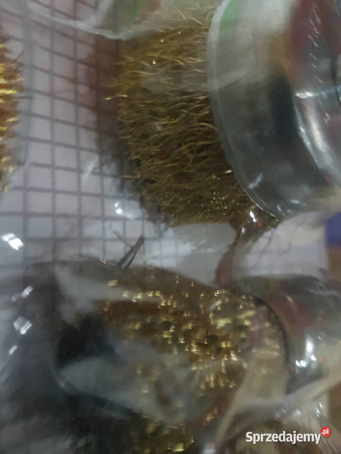 SZCZOTKI DRUCIANE WIERTARKI 5 Sztuk Głogowa